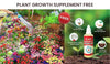 Italian Wild Mix Premium Flower Seeds + FREE Plant Growth Supplement